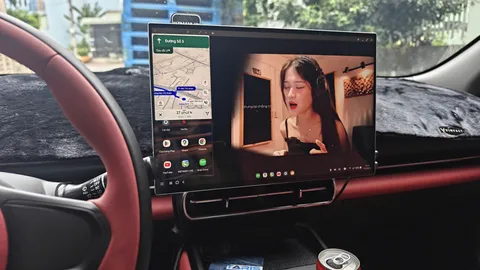 VinFast Limo Green · Ảnh lắp đặt 09